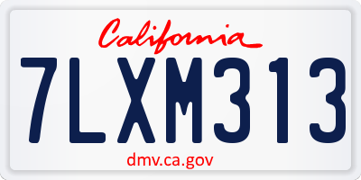 CA license plate 7LXM313