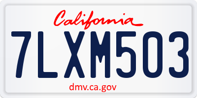 CA license plate 7LXM503