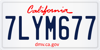 CA license plate 7LYM677