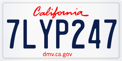 CA license plate 7LYP247