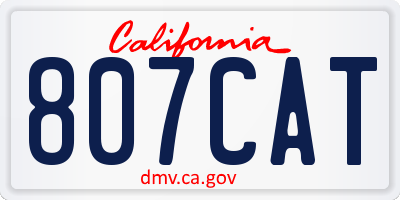 CA license plate 807CAT