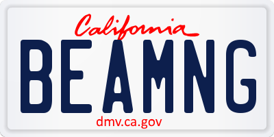 CA license plate BEAMNG