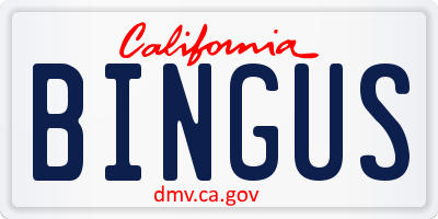 CA license plate BINGUS