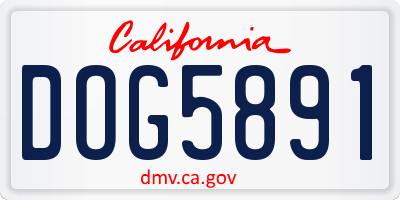 CA license plate DOG5891