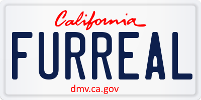 CA license plate FURREAL