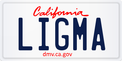 CA license plate LIGMA