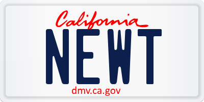 CA license plate NEWT