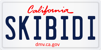 CA license plate SKIBIDI