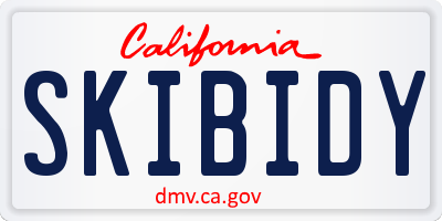 CA license plate SKIBIDY