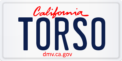 CA license plate TORSO