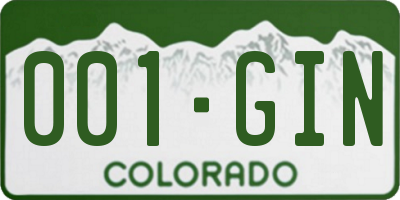 CO license plate 001GIN