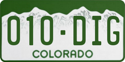 CO license plate 010DIG
