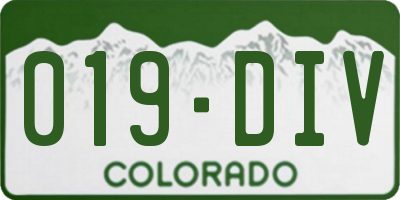 CO license plate 019DIV