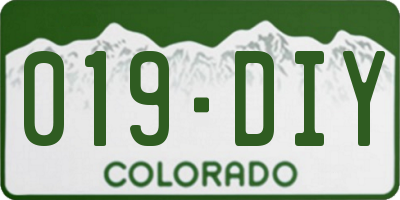 CO license plate 019DIY