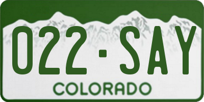 CO license plate 022SAY