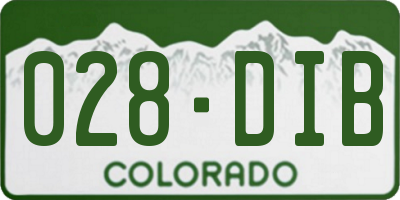 CO license plate 028DIB