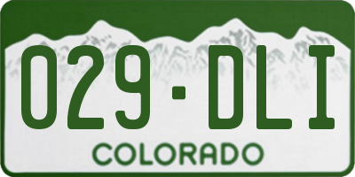 CO license plate 029DLI