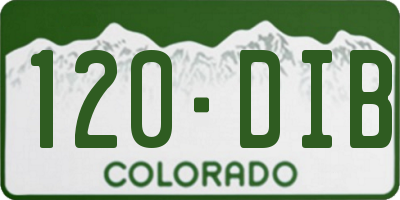 CO license plate 120DIB