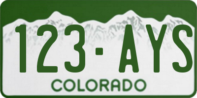 CO license plate 123AYS