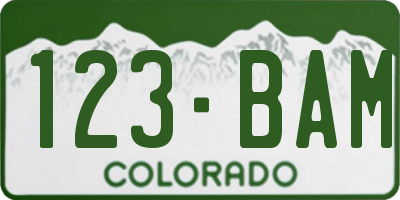 CO license plate 123BAM