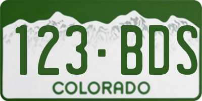CO license plate 123BDS