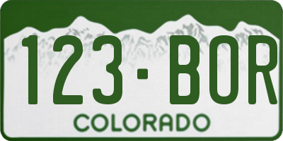 CO license plate 123BOR