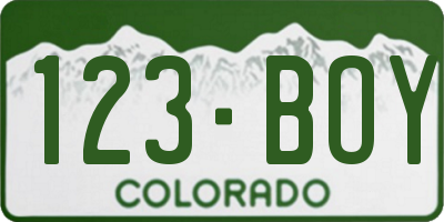 CO license plate 123BOY