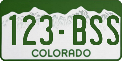 CO license plate 123BSS