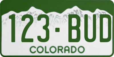 CO license plate 123BUD