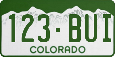CO license plate 123BUI