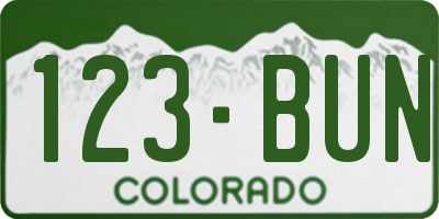 CO license plate 123BUN