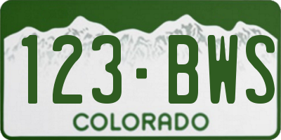 CO license plate 123BWS