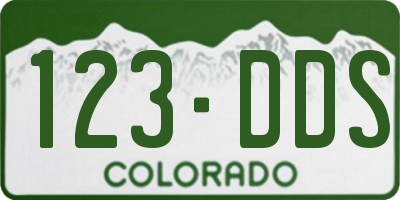 CO license plate 123DDS