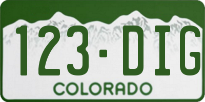 CO license plate 123DIG