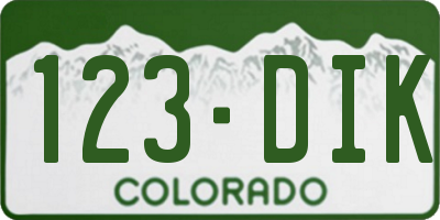 CO license plate 123DIK