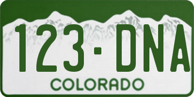 CO license plate 123DNA