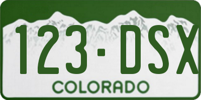 CO license plate 123DSX