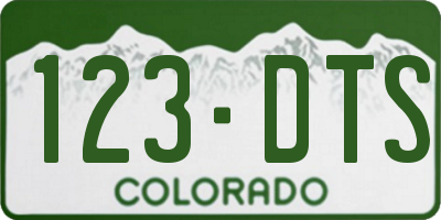 CO license plate 123DTS
