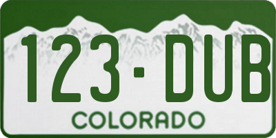 CO license plate 123DUB