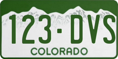 CO license plate 123DVS