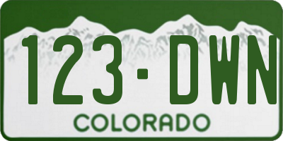 CO license plate 123DWN