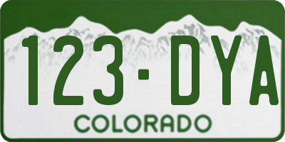 CO license plate 123DYA