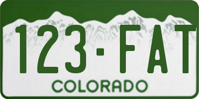 CO license plate 123FAT