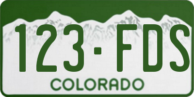 CO license plate 123FDS