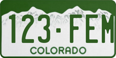 CO license plate 123FEM