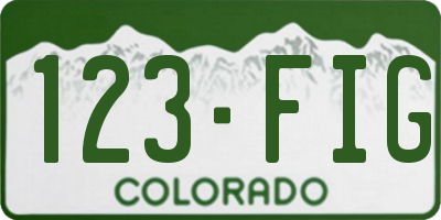 CO license plate 123FIG
