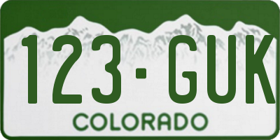 CO license plate 123GUK