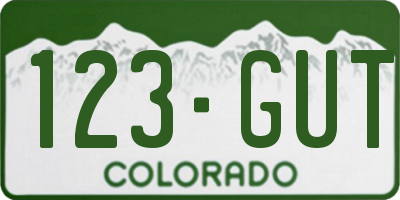 CO license plate 123GUT