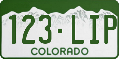 CO license plate 123LIP