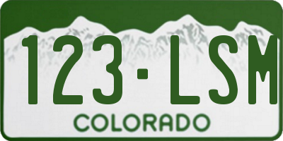 CO license plate 123LSM